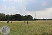 SommerturnierFeldbogenSchuetzenIsselburg2018