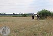 SommerturnierFeldbogenSchuetzenIsselburg2018