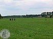Sommerturnier Feldbogensch&uuml;tzen Isselburg 2011