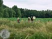 Sommer Turnier Feldbogensch&uuml;tzen Isselburg 2013