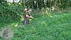 Sommer Turnier Feldbogensch&uuml;tzen Isselburg 2014