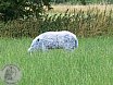 Sommer Turnier Feldbogensch&uuml;tzen Isselburg 2015