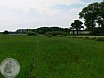Sommer Turnier Feldbogensch&uuml;tzen Isselburg 2015