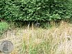 Sommer Turnier Feldbogensch&uuml;tzen Isselburg 2015