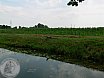 Sommer Turnier Feldbogensch&uuml;tzen Isselburg 2015