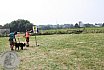 Sommer Turnier Feldbogensch&uuml;tzen Isselburg 2016