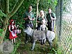 Sommer Turnier Feldbogensch&uuml;tzen Isselburg 2016