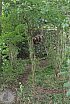 Sommer Turnier Feldbogensch&uuml;tzen Isselburg 2017